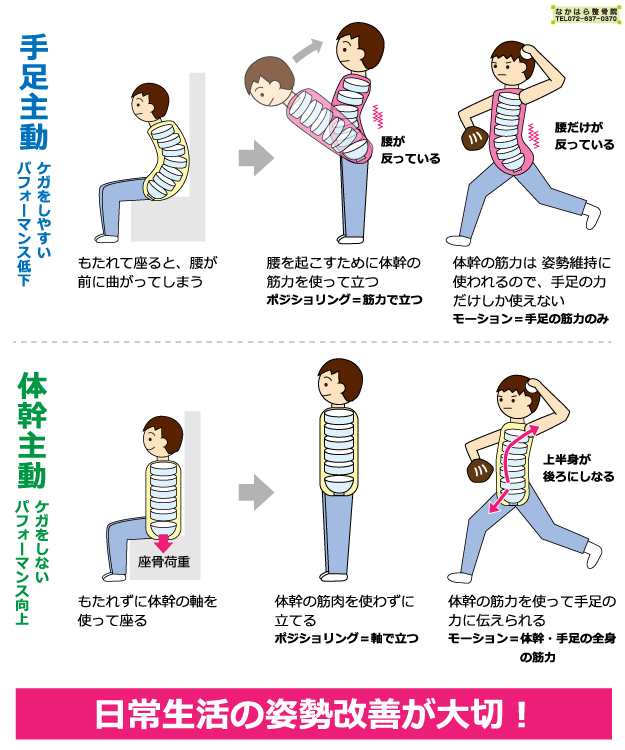 手足主導・体幹主導の違い図解